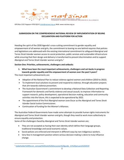Submission on the comprehensive national review of implementation of Beijing declaration and platform for action (2019)